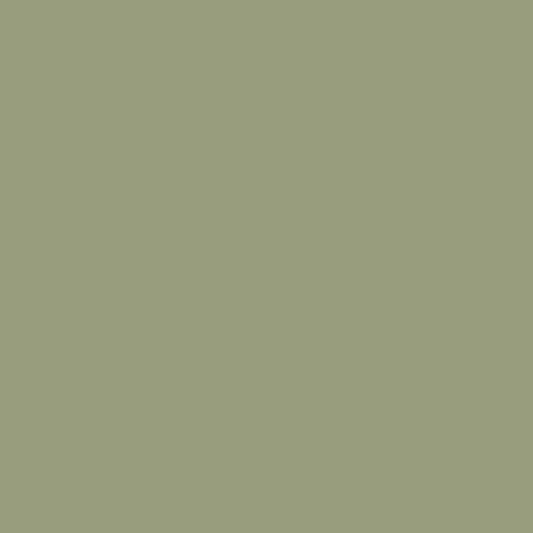 Pure Solids Fresh Sage PE502 106